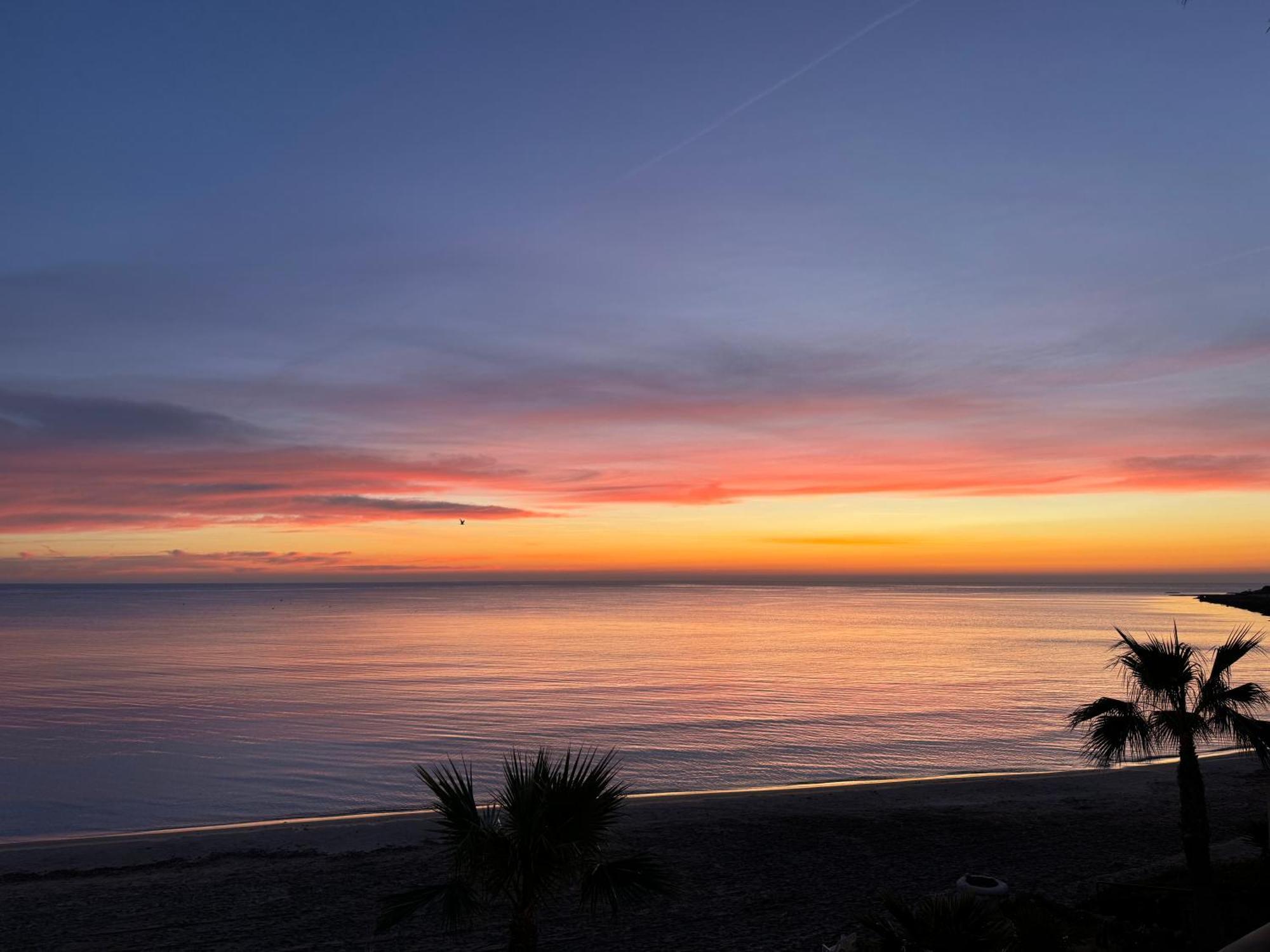 Espectacular Apartamento A Pie De Playa En Chalet Roquetes Alicante Bagian luar foto